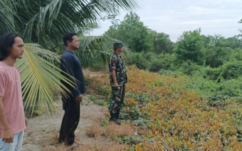TNI Bersama Warga Kawal Lingkungan, Babinsa Lakukan Patroli Karhutla di Bangsal Aceh