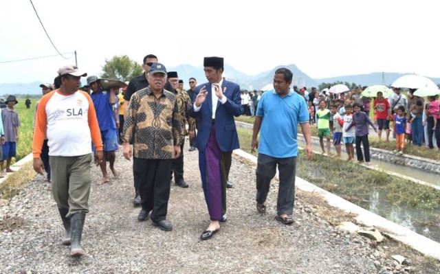 Jokowi Kunjungi Padat Karya Tunai di Cirebon