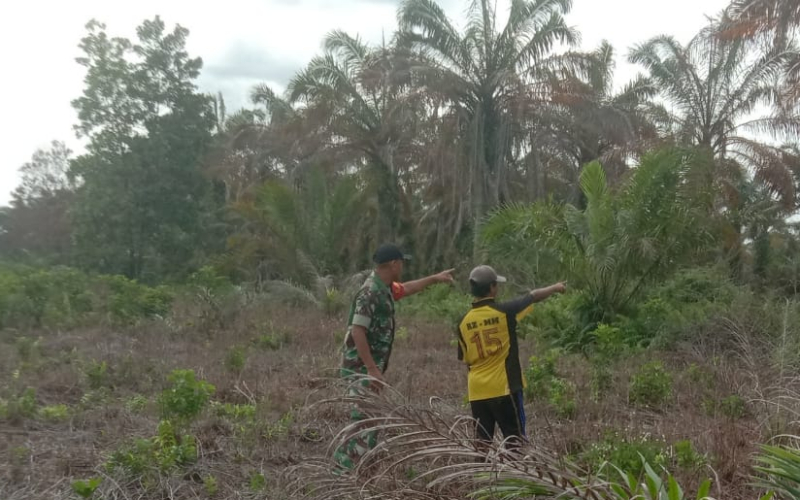Cegah Kebakaran Hutan dan Lahan, Babinsa Mundam Turun Langsung ke Wilayah Binaan