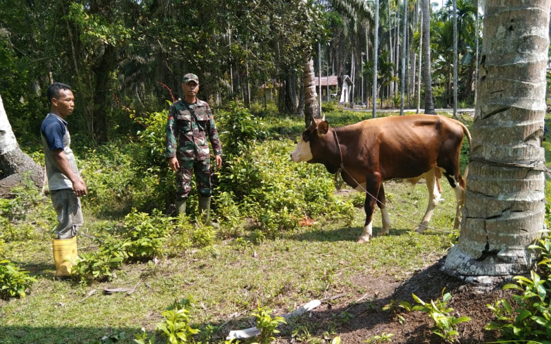 Babinsa Koramil 03 Sei Sembilan Kembali Laksanakan Sosialisasi