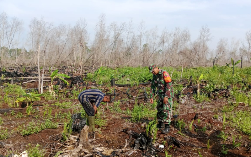 Akan Ditanami Padi Gogo, Babinsa Tanjung Palas Lakukan Pengecekan Lahan