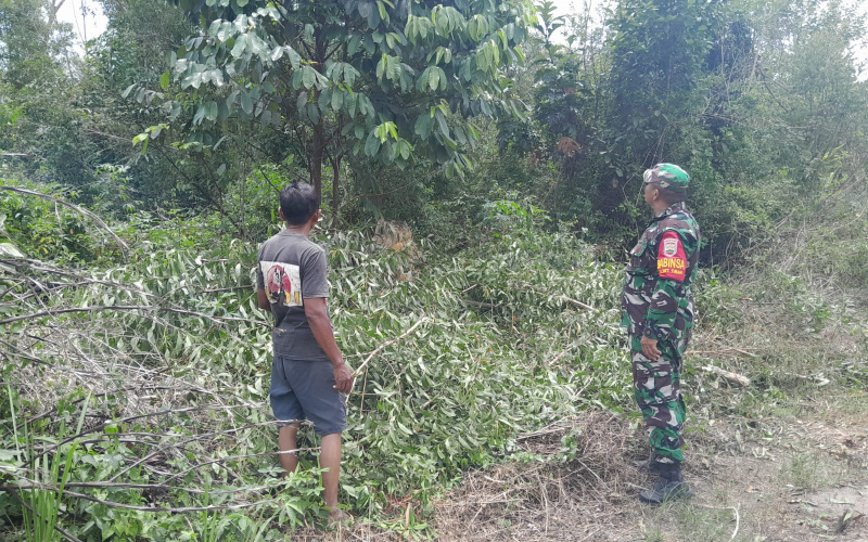 Babinsa Koramil 01 Dumai Patroli Cegah Karhutla di Wilayah Rawan
