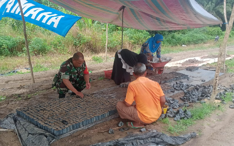 Koramil 02 Beri Pendampingan Pembibitan Semangka di Kelurahan Bukit Nenas