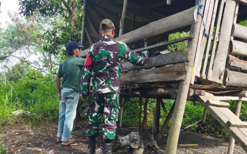 Sambangi Peternakan Kambing, Babinsa Serka Abu Kasim Sosialisasi Kesehatan