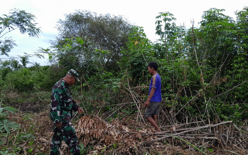 Babinsa Bukit Timah Patroli Wilayah Terkait Karhutla
