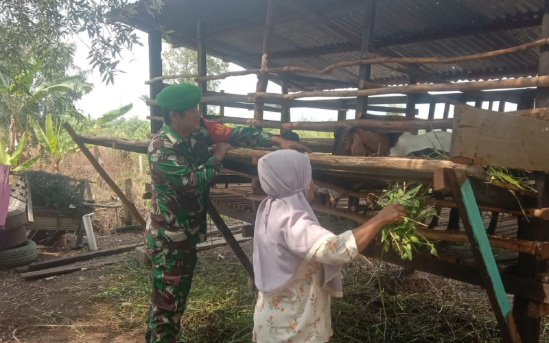 Sertu SMP Sinaga Pastikan Peternak Paham Soal Pencegahan PMK