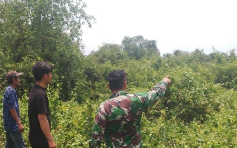 Koramil 03 Rutin Lakukan Sosialisasi Cegah Karhutla, ini Paparan Serma Novrianto