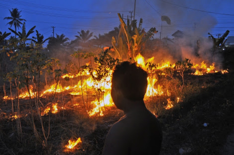 Anggota TNI Tangkap Tangan Karyawan Swasta Pembakar Lahan di Mandau