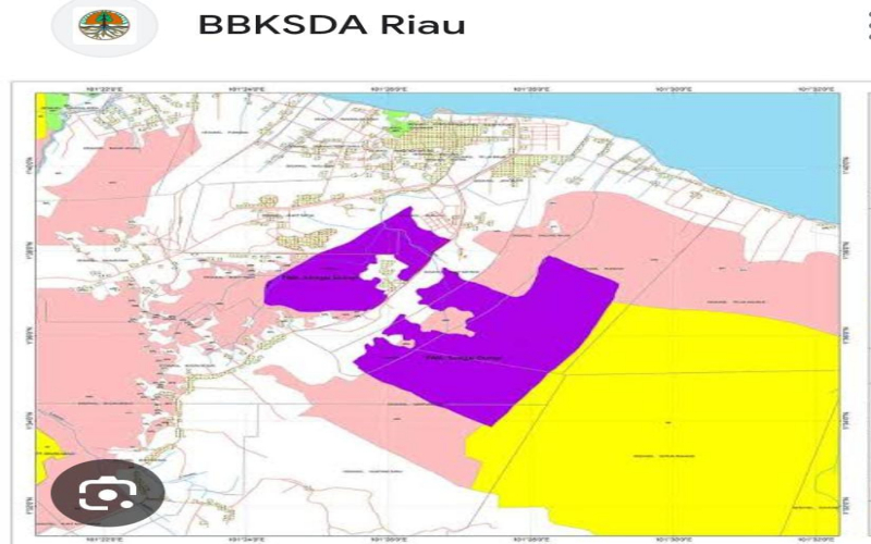 TWA Sungai Dumai Luluh Lantak, Aksi Satgas PKH Melakukan Penertiban Dinanti