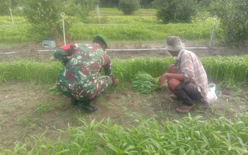 Serda Priyo Sudarmo Laksanakan Giat Rutin, Program Karya Nyata