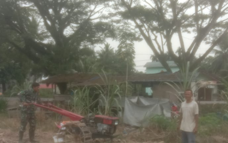Dampingi Petani Tanam Jagung, Babinsa Dukung Swasembada Pangan