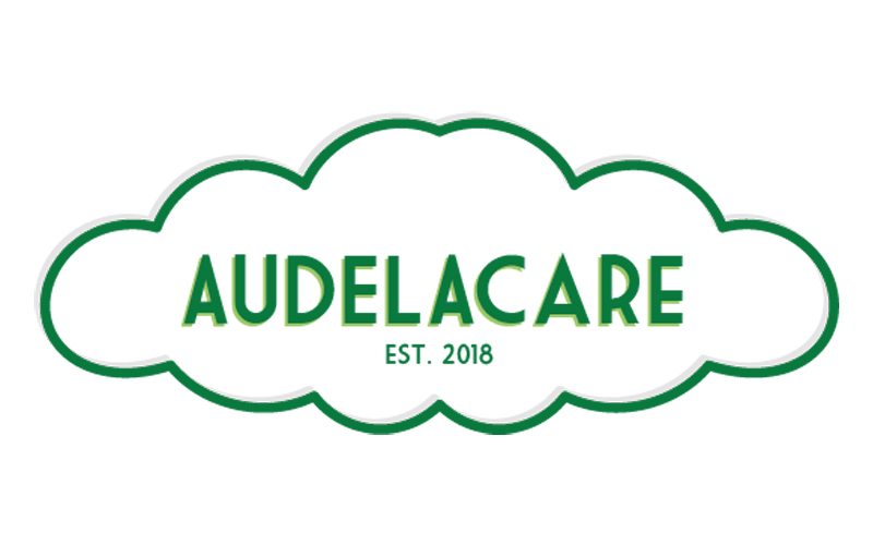 Audelacare Unveils Next-Gen One-Push Walking Stick for Effortless Mobility in the Elderly