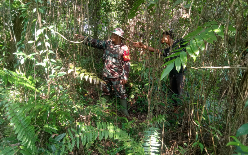 Cegah Karhutla, Babinsa Koramil 01 Dumai Lakukan ini