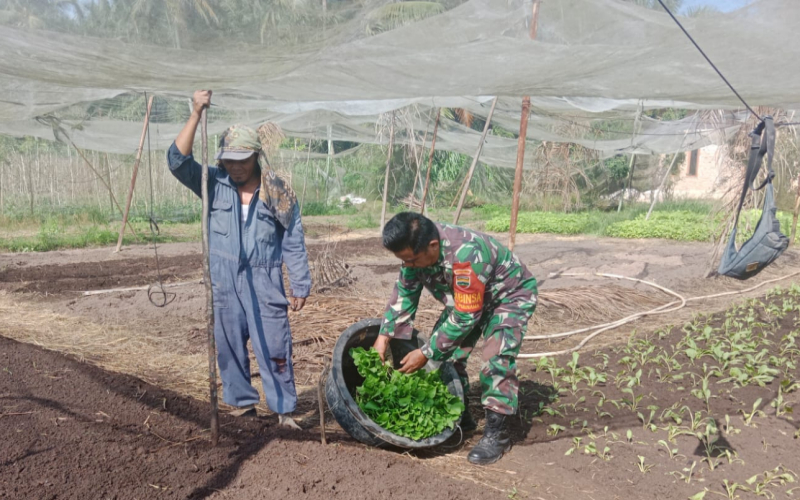 Cegah Karhutla, Babinsa Dumai Barat Sekaligus Bina Ketahanan Pangan