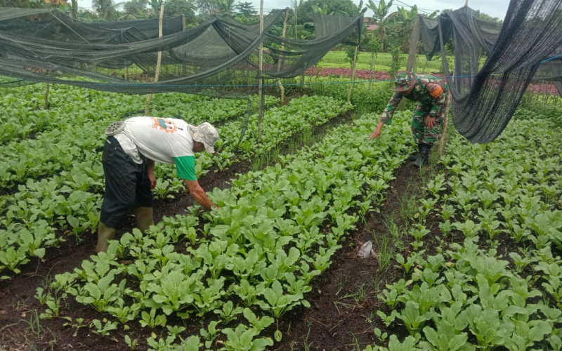 Babinsa Kelurahan Bagan Keladi Dumai Lakukan Pendampingan Karya Nyata
