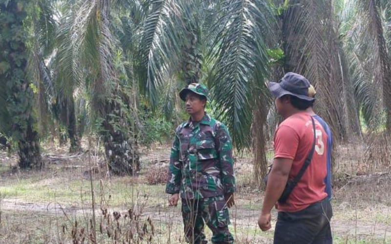 Patroli Karhutla Babinsa Sungai Sembilan, Wilayah Terpantau Aman