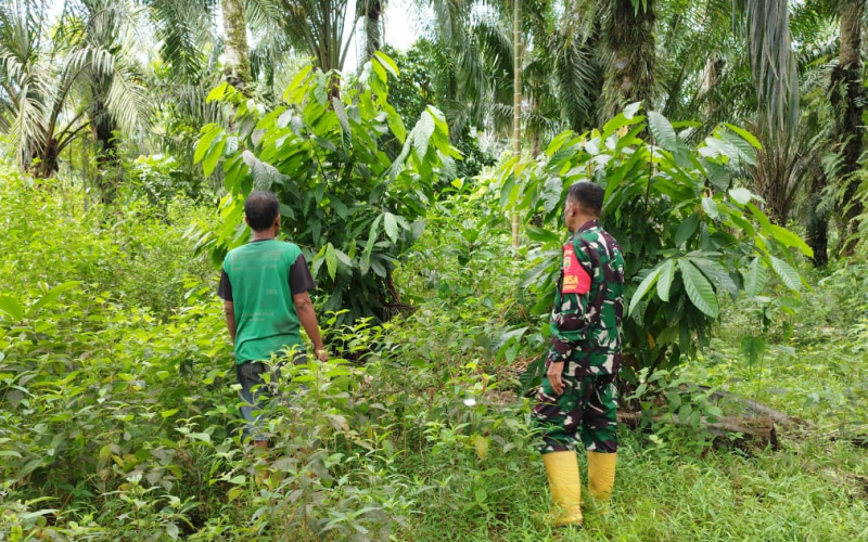 Patroli Karhutla, Serda Miftah: Upaya Pencegahan dan Kesadaran Masyarakat Sangat Penting
