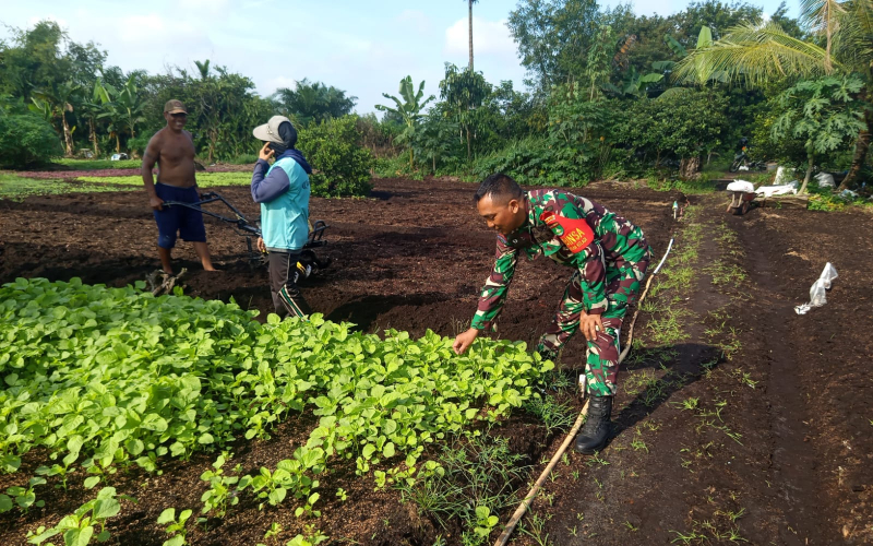Sinergi Dua Tugas: Babinsa Koramil 01 Dumai Dukung Petani dan Cegah Karhutla