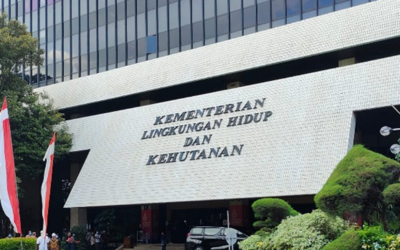 KLHK Soroti Perizinan Para Pelaku Usaha Kebun Sawit di Kawasan Hutan