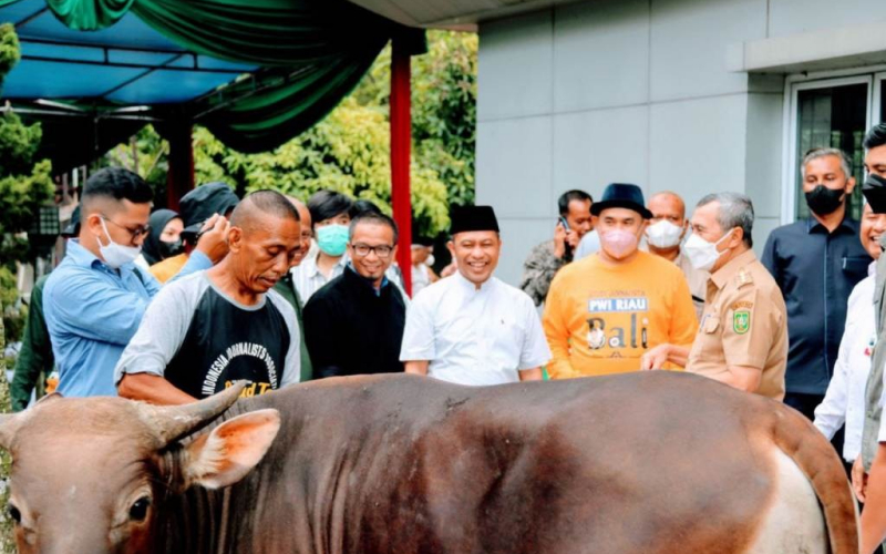 PWI Riau Gelar Kurban 8 Juni, PT Riau Petroleum Rokan Serahkan Satu Ekor Sapi