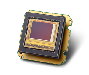Teledyne e2v introduces the Caiman module: a compact imaging solution for low light imaging
