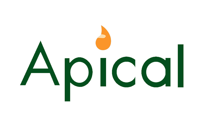 Apical is Second Most Transparent Palm Oil Company in the World