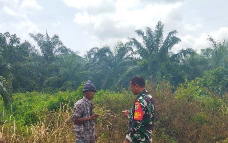 Babinsa Koramil 01 Giat Patroli Pencegahan Karhutla