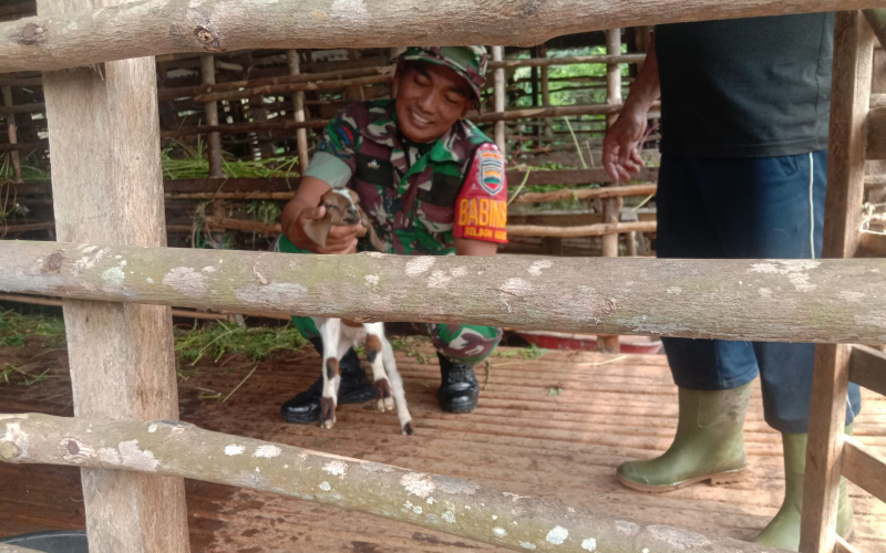 Serda Priyo Sudarmo Sosialisasi Kesehatan dan Program PMK di Peternakan