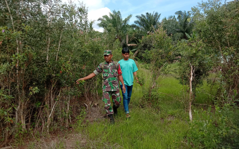 Sertu Ramli Patroli dan Sosialisasi Mengenai Bahaya Terjadinya Karhutla