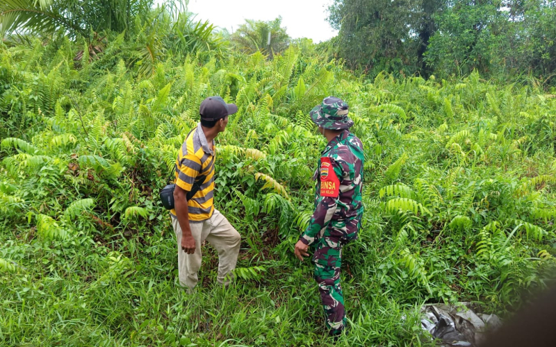 Patroli Babinsa Pastikan Tidak ada Karhutla di Bagan Keladi