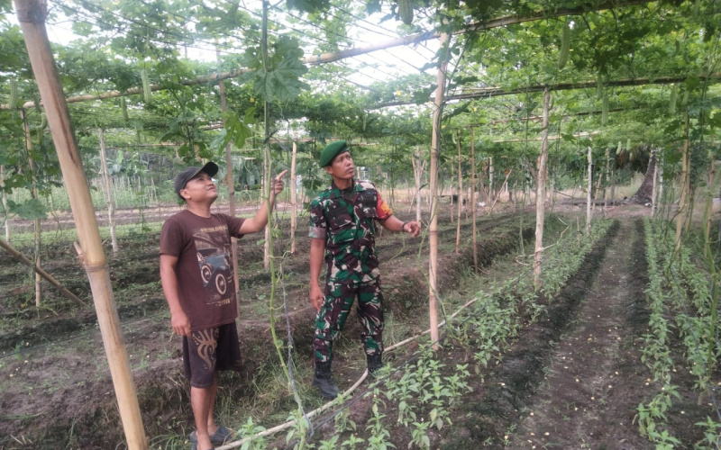 Pendampingan Karya Nyata oleh Babinsa STDI