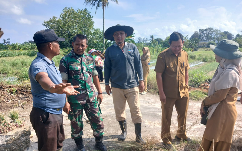 Pasiter Kodim Dumai Hadir Pada Acara Panen Raya Bawang Merah
