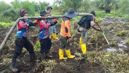 22 Hektar Lahan Gambut di Duri Habis Dilalap Api