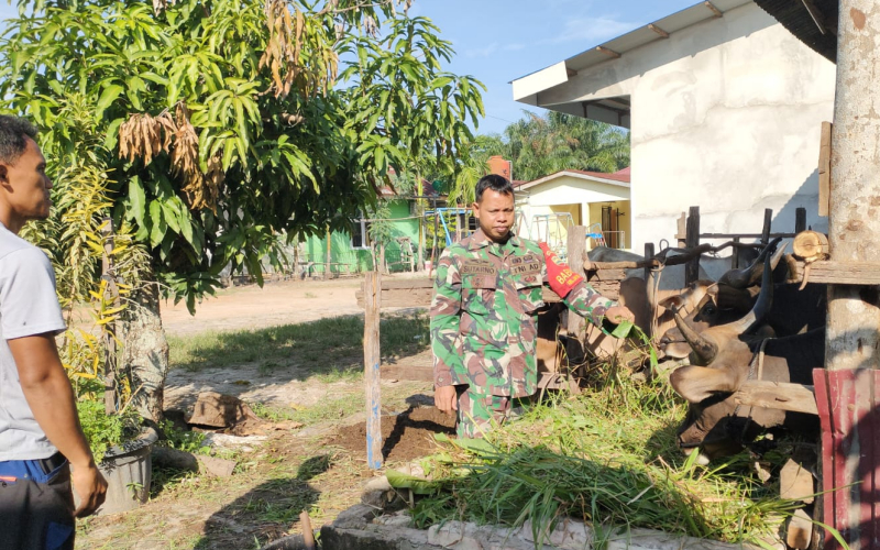 Babinsa Koramil 01 Dumai Pastikan Ternak Warga Sehat dan Bebas PMK di Kelurahan Jaya Mukti