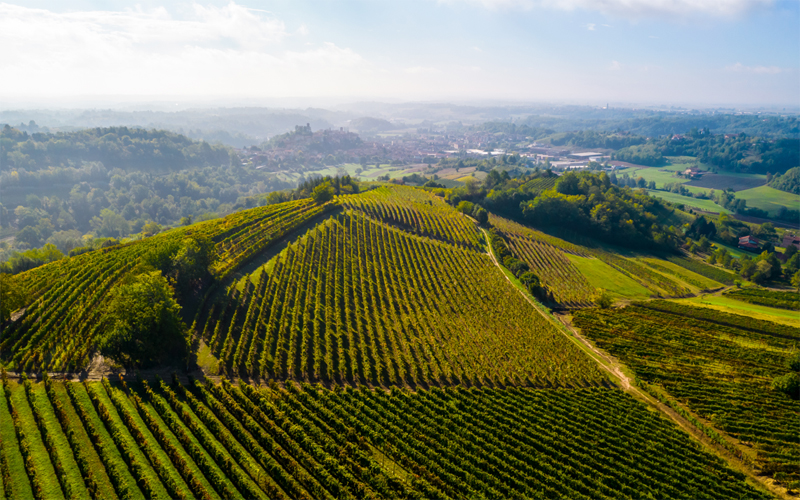 The Region of Piedmont and IFSE Fly to Chicago and Orlando for 'A Taste Of Piedmont'