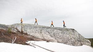 Q2 Metals Commences Summer Drill Program and Advances Toward PEA on the Cisco Lithium Project in Quebec, Canada