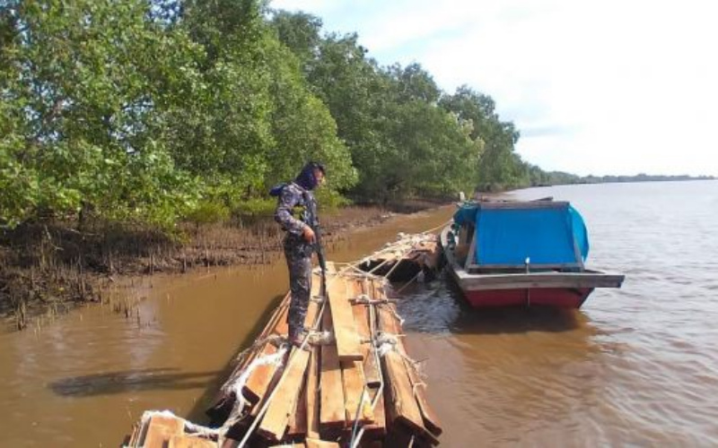Polda Riau Tangkap Dua Pembawa Kayu Ilegal