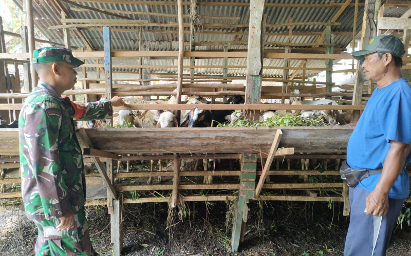 Sertu Sutarno dari Koramil 01 Dumai Sambangi Peternakan