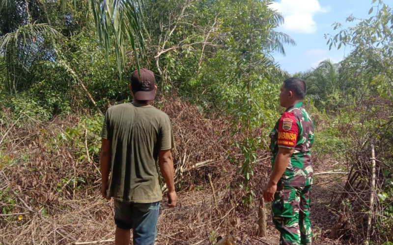 Sertu Jainal Arifin Laksanakan Patroli dan Sosialisasi Cegah Kebakaran Lahan
