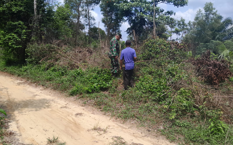 Babinsa Kelurahan Bukit Timah Patroli Karhutla di Tempat Rawan
