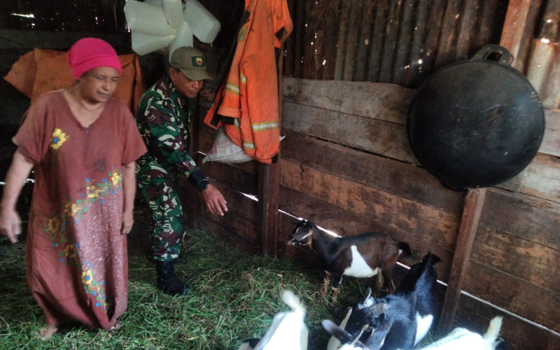 Babinsa Rimba Sekampung Gencarkan Sosialisasi Cegah PMK di Dumai Timur