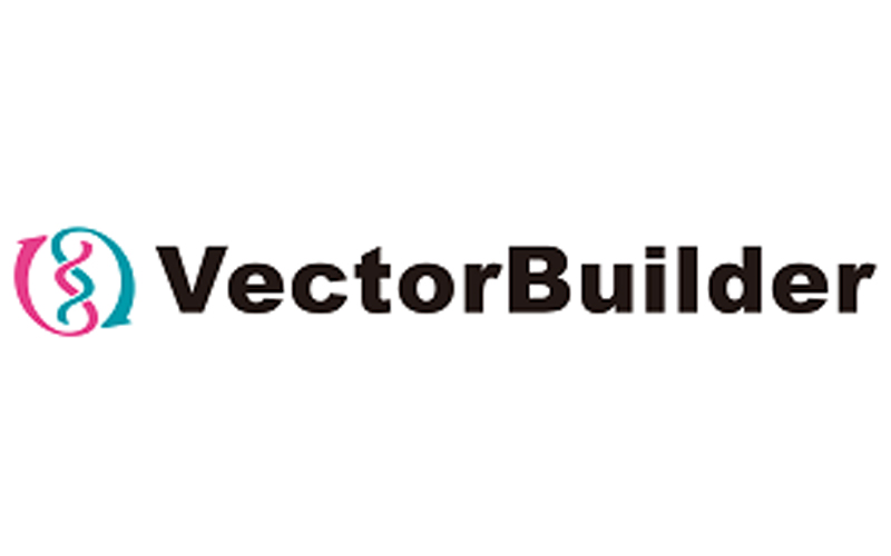 VectorBuilder Won First Prize in Major Innovation Competition