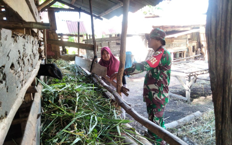 Serda Andri Widodo Sambangi Peternak Lokal, Sosialisasi Kesehatan