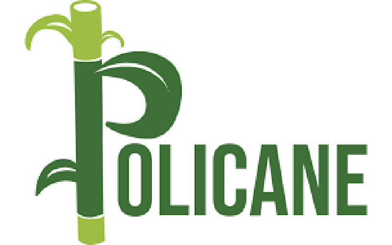 Policane® Natural Sweetener Found to Have Low Glycemic Index