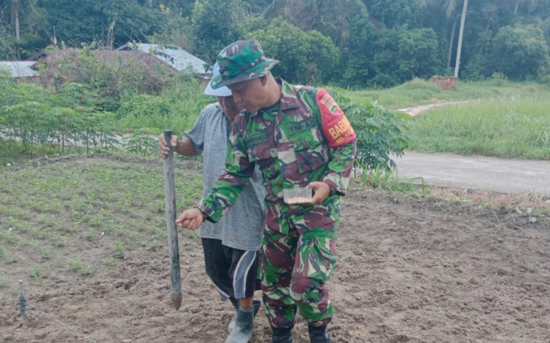 Karya Nyata Penanaman Kacang Tanah oleh Babinsa Sei Geniot