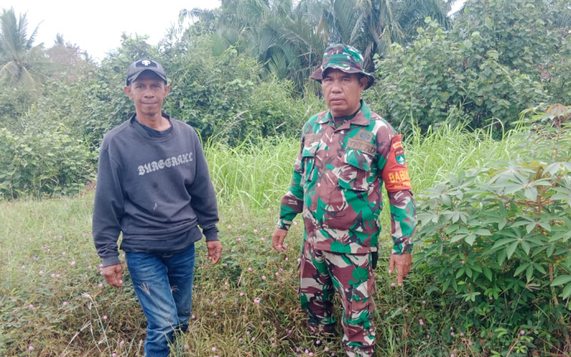 Sertu Mahyudin Sisir Lahan Gambut Kilang Manis, Pastikan Wilayah Bebas Titik Api