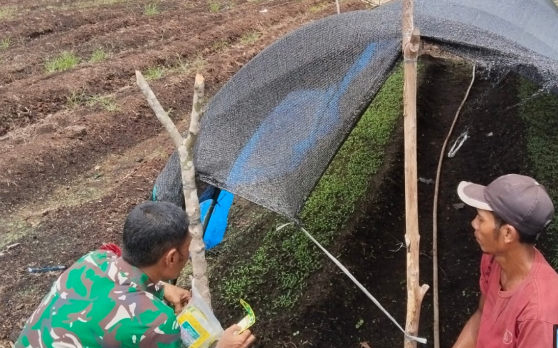 Peduli Pertanian dan Lingkungan, Serda Erwan Dampingi Petani Sekaligus Cegah Karhutla