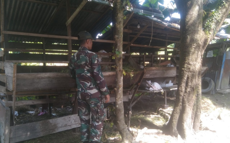 Babinsa Koramil 03 Sosialisasi Pencegahan Penyakit Menular di Peternakan