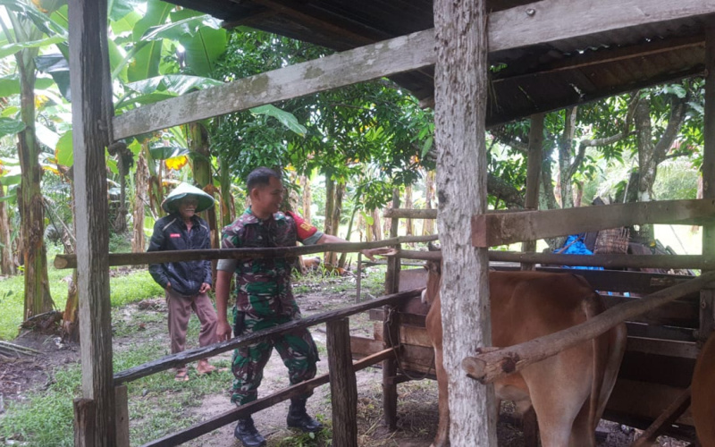 Koramil 01 Sambang Peternakan, Tekankan Pentingnya Menjaga Kesehatan