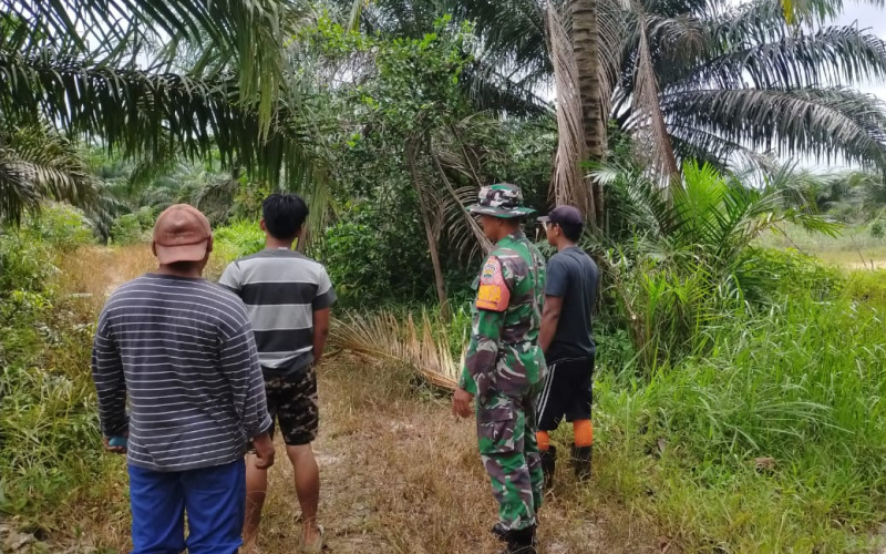 Babinsa Koramil 03 Patroli, Upaya Pencegahan Dini Terhadap Potensi Kebakaran